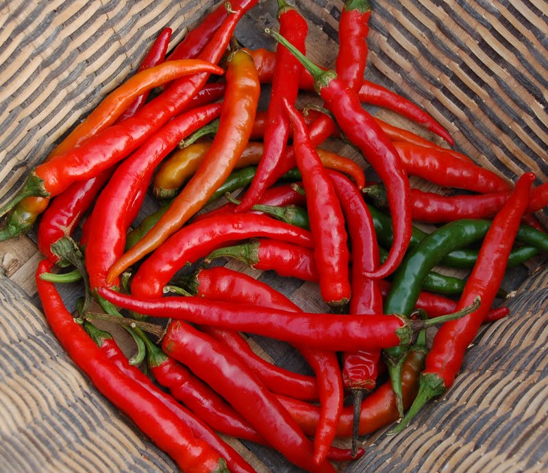 cayenne ring of fire